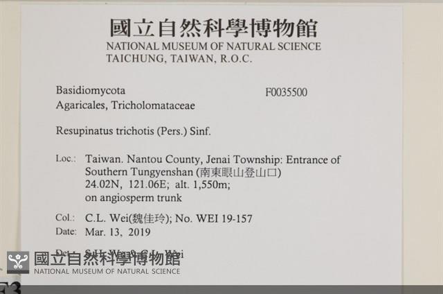 登錄號:F0035500藏品圖，第2張