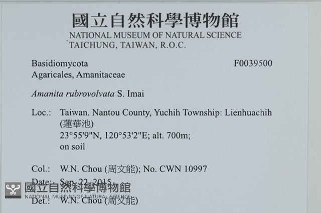 登錄號:F0039500藏品圖，第2張