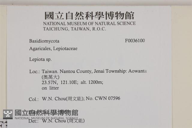 登錄號:F0036100藏品圖，第2張