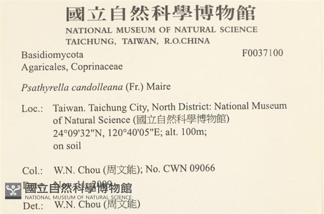 登錄號:F0037100藏品圖，第2張