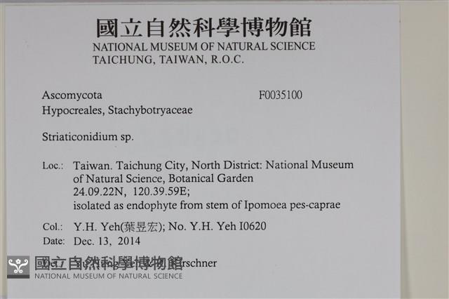 登錄號:F0035100藏品圖，第2張