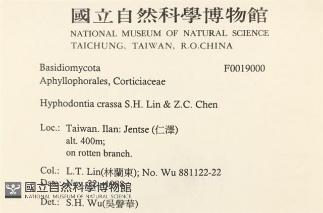 登錄號:F0019000藏品圖，第2張