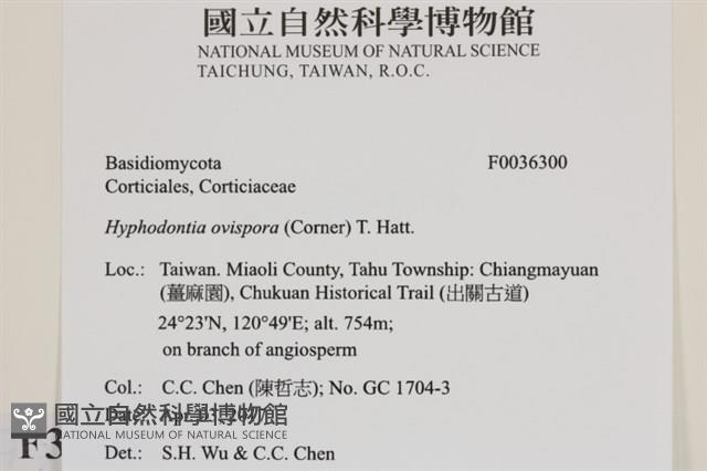 登錄號:F0036300藏品圖，第2張