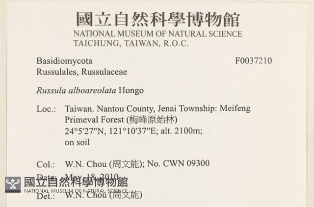 登錄號:F0037210藏品圖，第2張