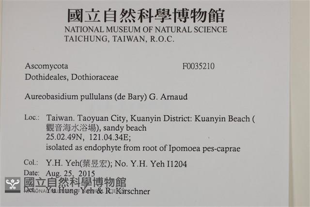 登錄號:F0035210藏品圖，第2張