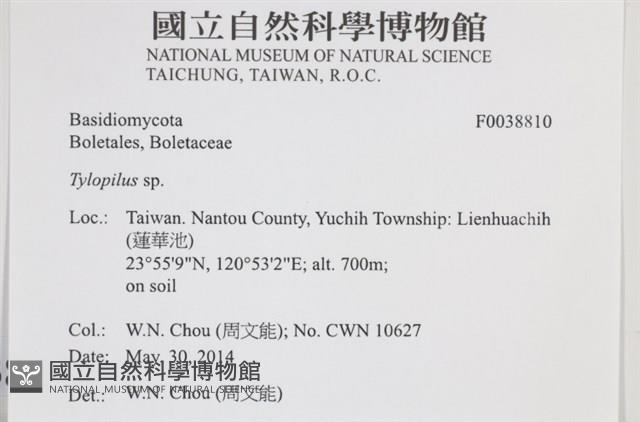 登錄號:F0038810藏品圖，第2張