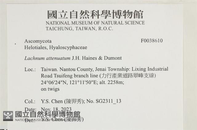 登錄號:F0038610藏品圖，第2張