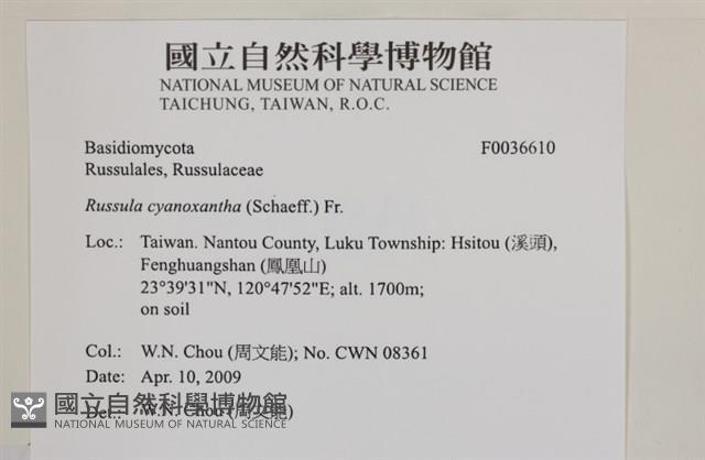 登錄號:F0036610藏品圖，第2張