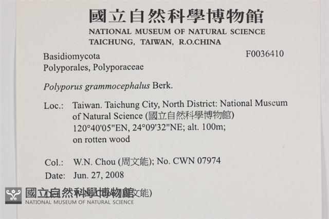 登錄號:F0036410藏品圖，第2張