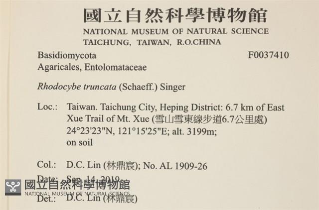 登錄號:F0037410藏品圖，第2張