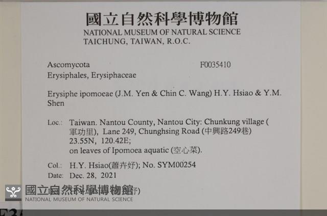 登錄號:F0035410藏品圖，第2張