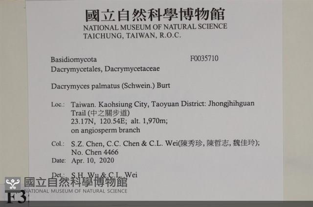 登錄號:F0035710藏品圖，第2張