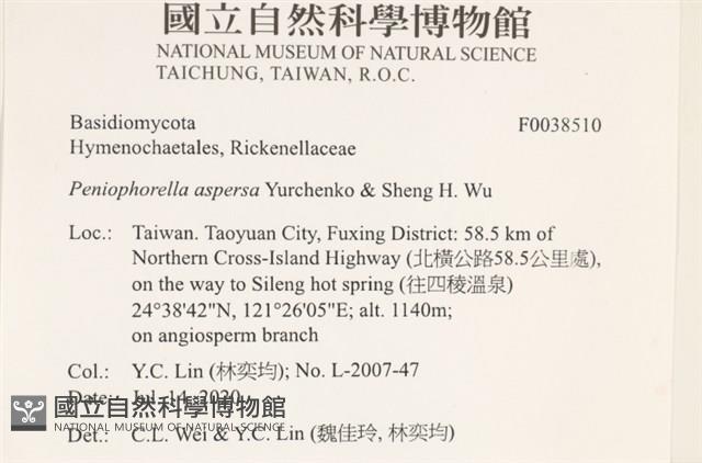 登錄號:F0038510藏品圖，第2張