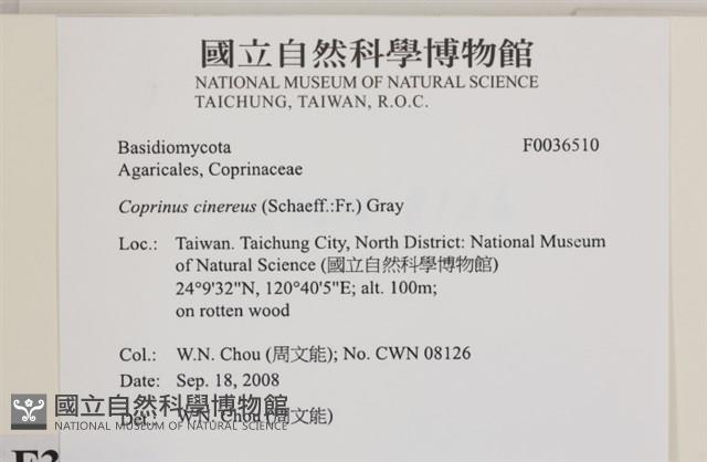登錄號:F0036510藏品圖，第2張