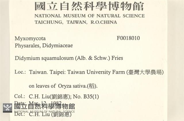 登錄號:F0018010藏品圖，第2張
