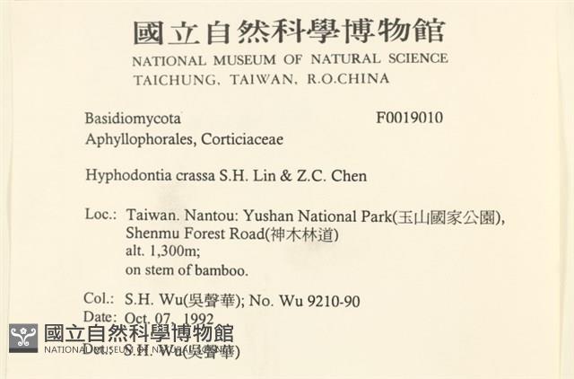 登錄號:F0019010藏品圖，第2張
