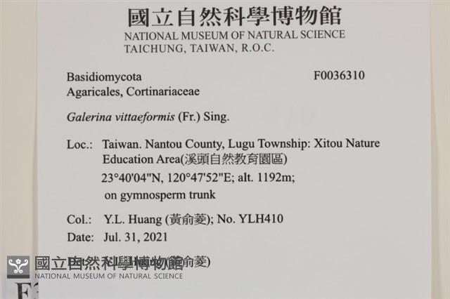 登錄號:F0036310藏品圖，第2張