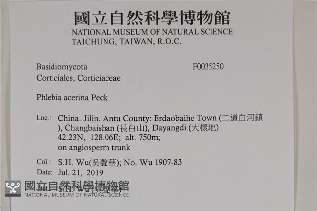 登錄號:F0035250藏品圖，第2張