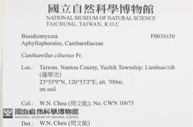 登錄號:F0038850藏品圖，第2張