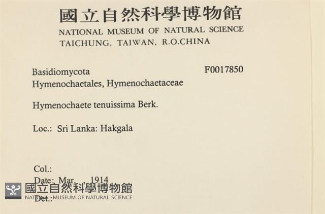 登錄號:F0017850藏品圖，第2張