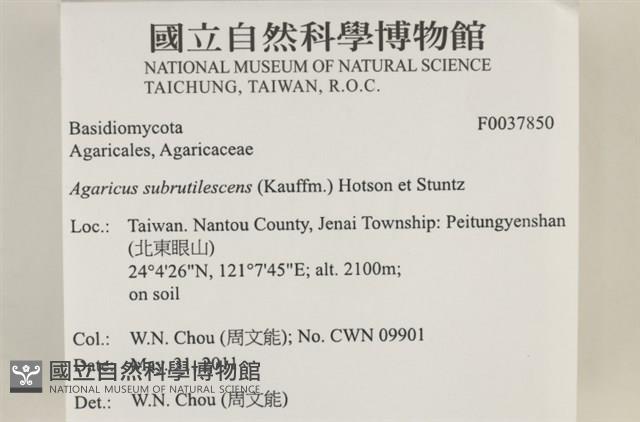 登錄號:F0037850藏品圖，第2張