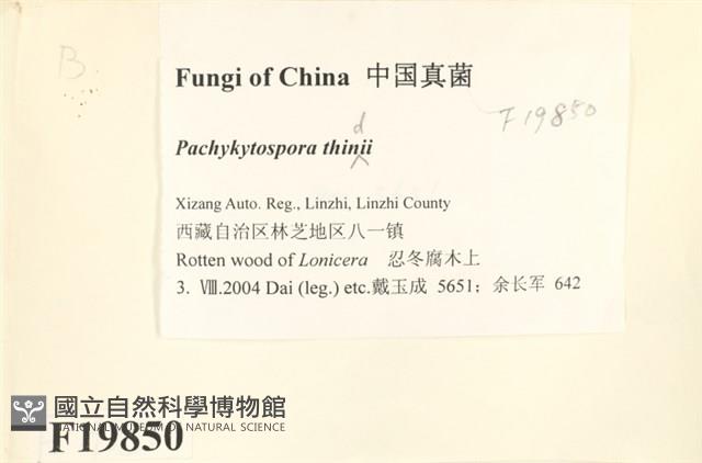 登錄號:F0019850藏品圖，第2張