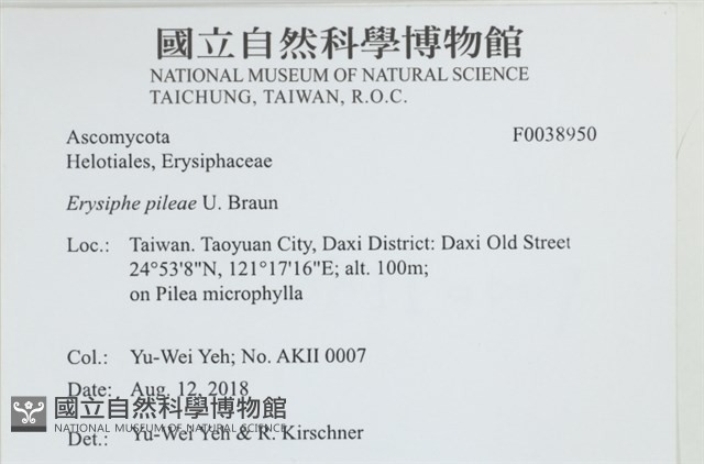登錄號:F0038950藏品圖，第2張