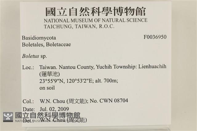 登錄號:F0036950藏品圖，第2張