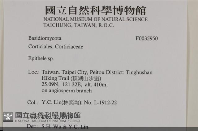 登錄號:F0035950藏品圖，第2張