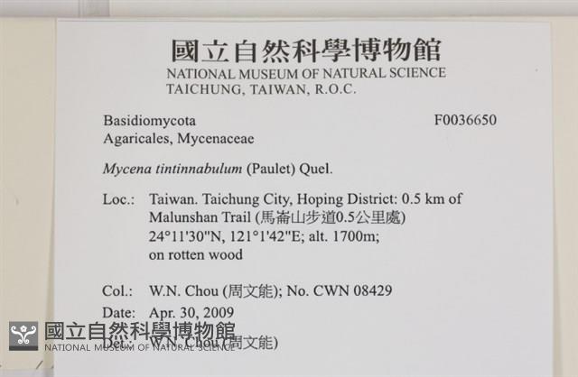 登錄號:F0036650藏品圖，第2張