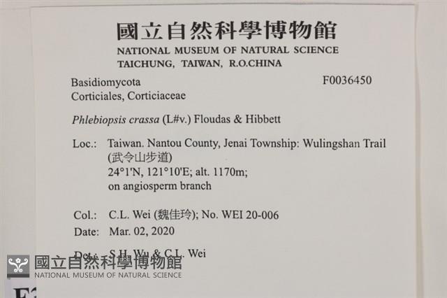 登錄號:F0036450藏品圖，第2張