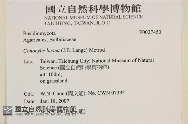 登錄號:F0027450藏品圖，第4張