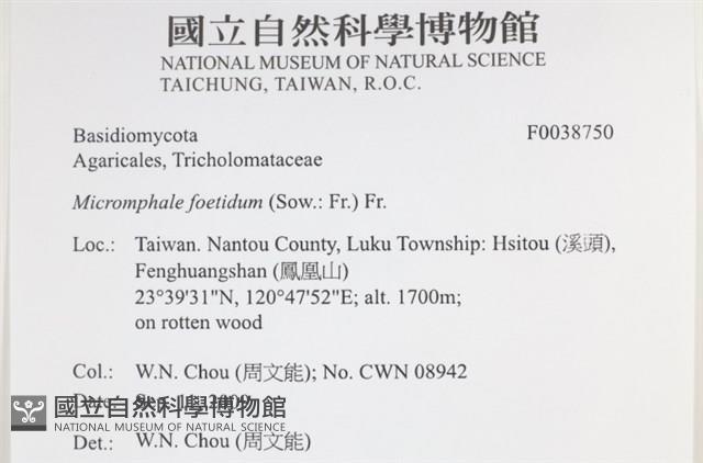 登錄號:F0038750藏品圖，第2張