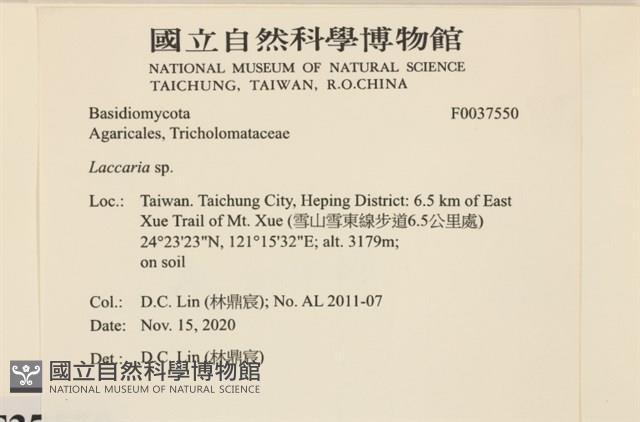 登錄號:F0037550藏品圖，第2張