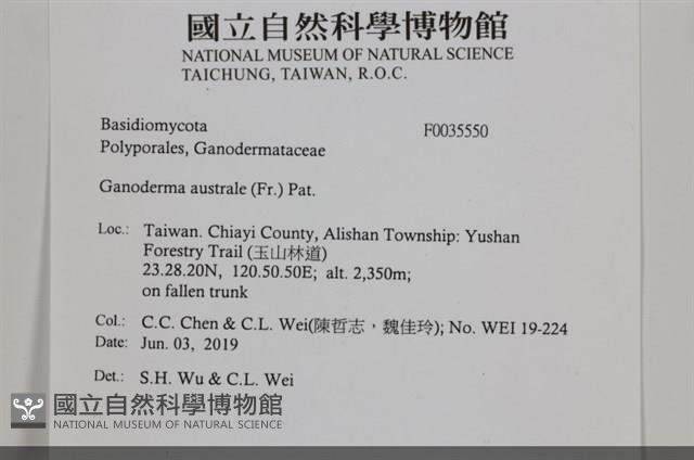 登錄號:F0035550藏品圖，第2張