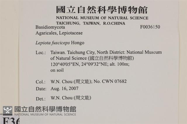 登錄號:F0036150藏品圖，第2張