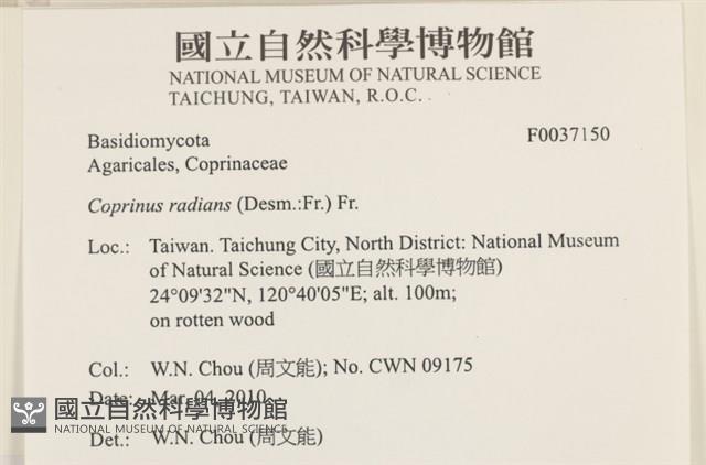 登錄號:F0037150藏品圖，第2張
