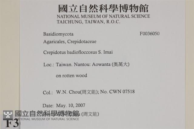 登錄號:F0036050藏品圖，第2張