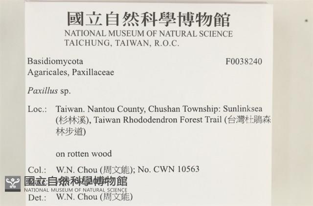 登錄號:F0038240藏品圖，第2張