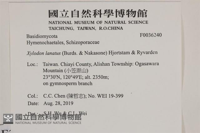 登錄號:F0036240藏品圖，第2張