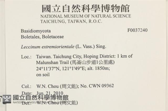 登錄號:F0037240藏品圖，第2張