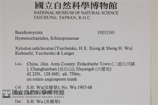 登錄號:F0035240藏品圖，第2張