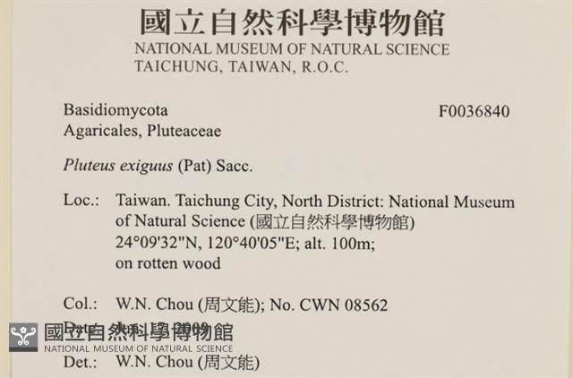 登錄號:F0036840藏品圖，第2張