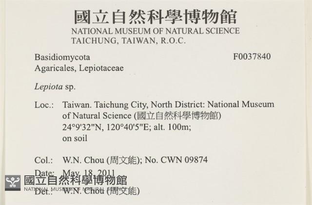 登錄號:F0037840藏品圖，第2張