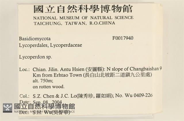 館號:F0017940藏品圖，第2張