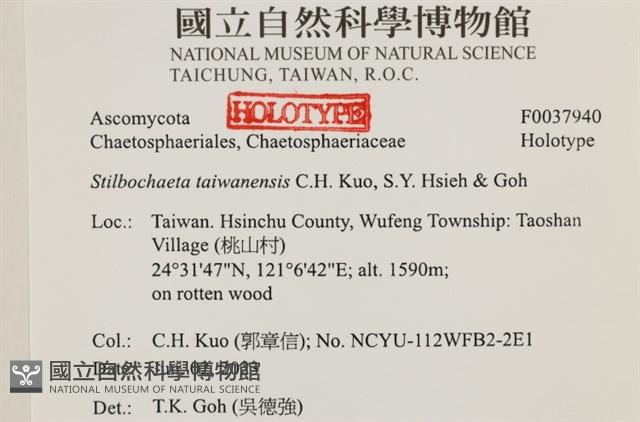 登錄號:F0037940藏品圖，第2張
