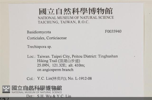 登錄號:F0035940藏品圖，第3張