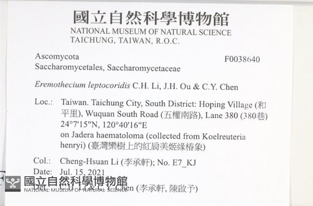 登錄號:F0038640藏品圖，第2張