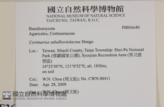 登錄號:F0036640藏品圖，第2張
