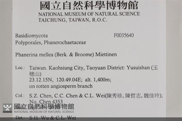 登錄號:F0035640藏品圖，第2張